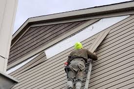 Best Siding Removal and Disposal  in Leisuretowne, NJ